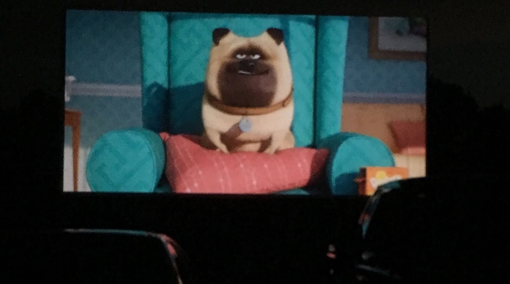 The Drive In is a great family experience. You must arrive early to ensure a good spot.
PS. I definitely recommend this movie.