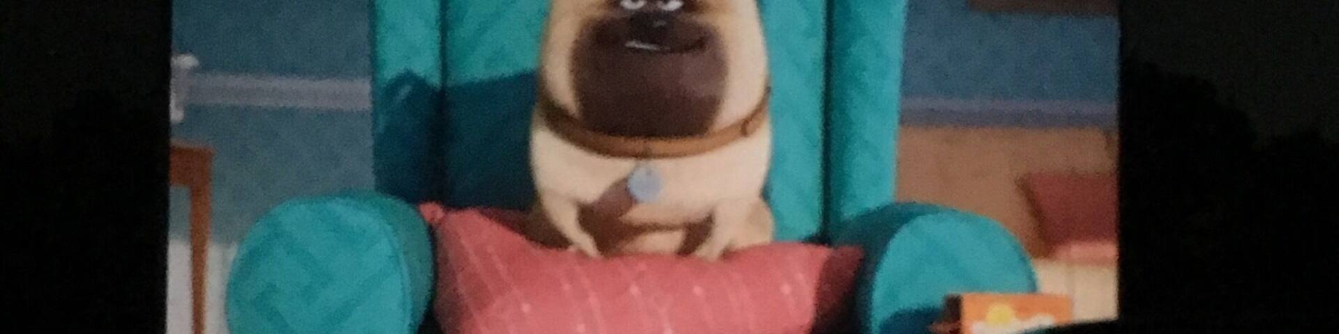 The Drive In is a great family experience. You must arrive early to ensure a good spot.
PS. I definitely recommend this movie.