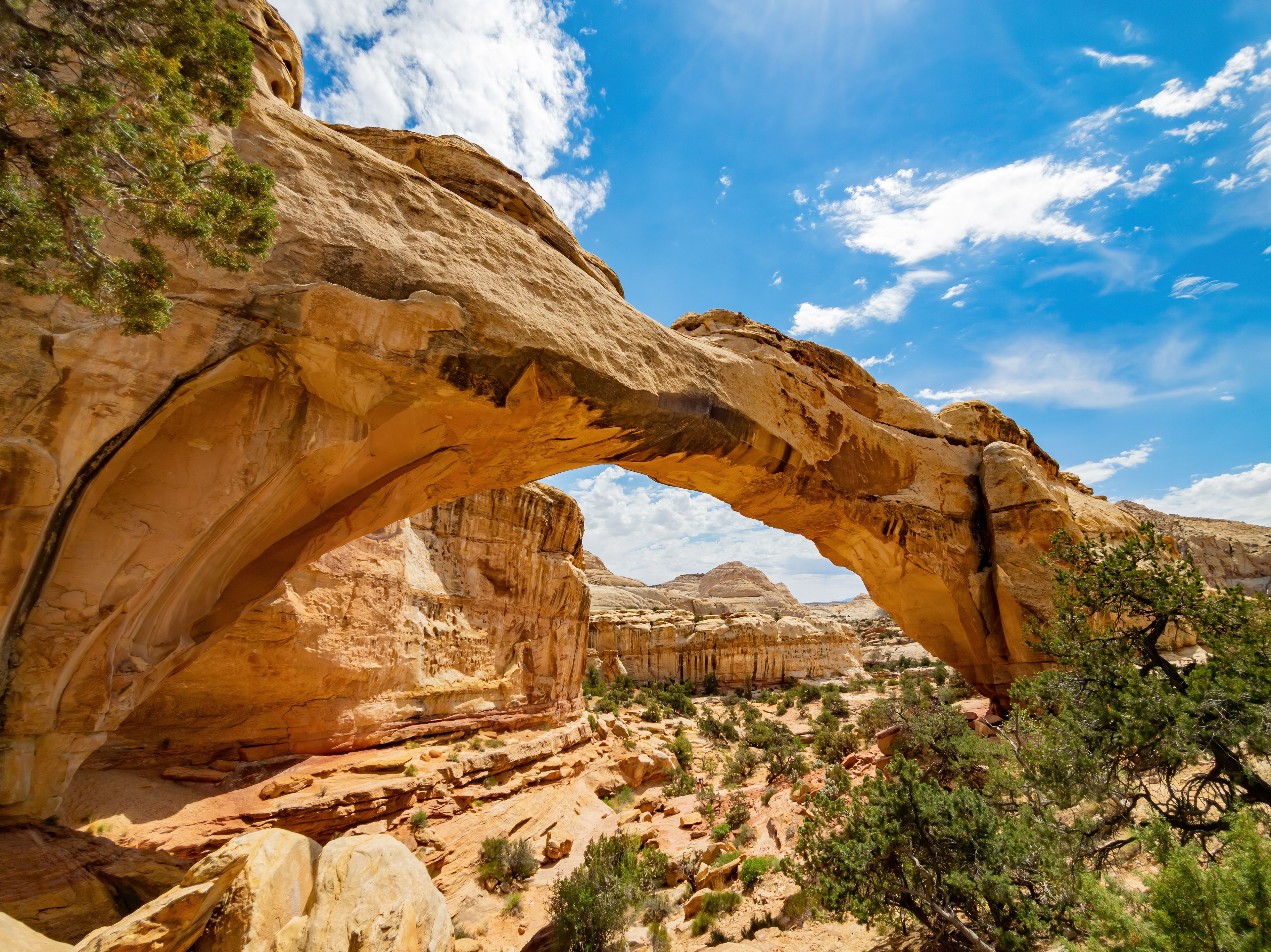Beautiful landscape around the Hickman Bridge Trail of Capitol Reef National Park