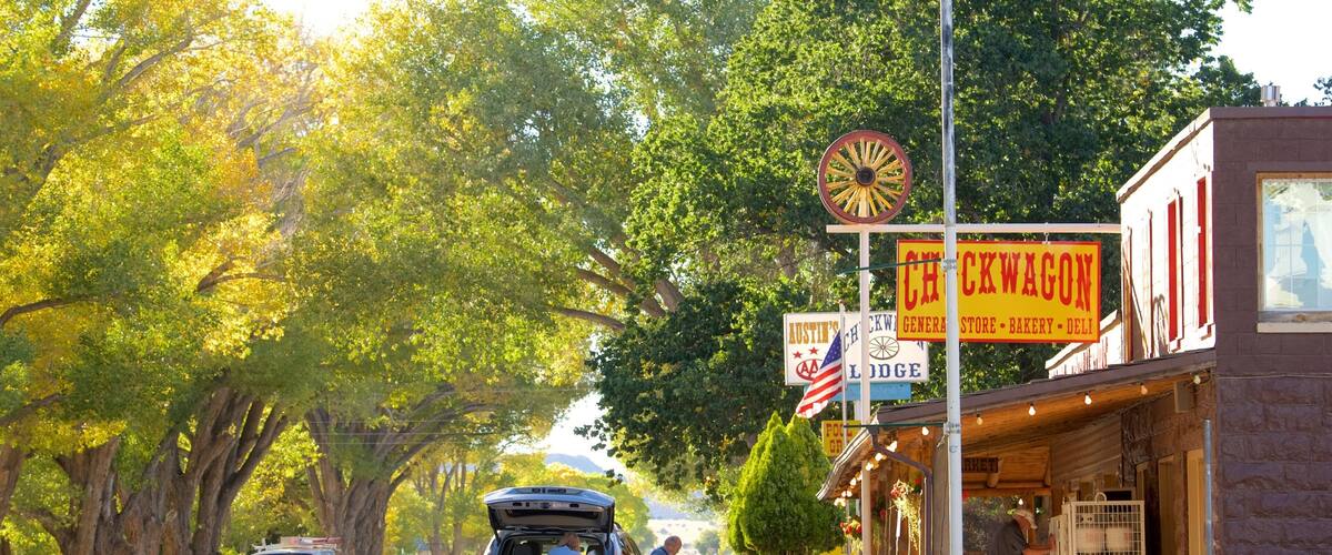A roadside diner with a vintage sign, a parked SUV, and a blue van.