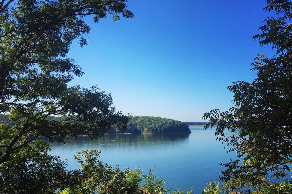 A calm lake surrounded by dense trees and a distant island.
