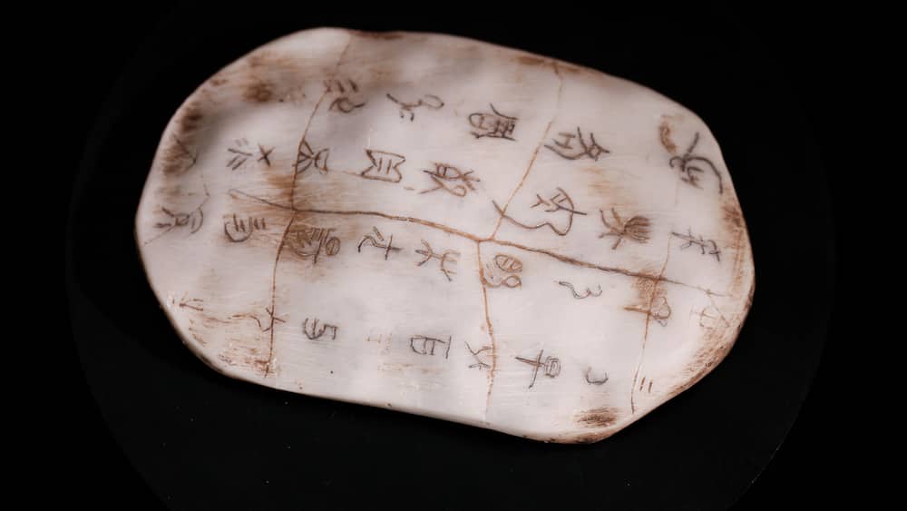 Ancient Oracle Bone with Hieroglyphic Writings from Yinxu Archaeological Site China