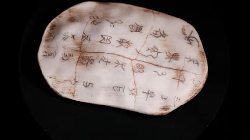 Ancient Oracle Bone with Hieroglyphic Writings from Yinxu Archaeological Site China