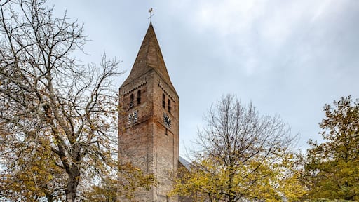 Hippolytushoef