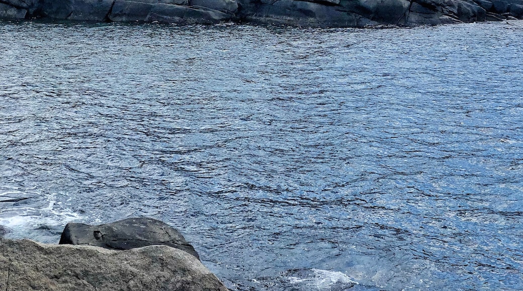 Nubble Lighthouse in York, Maine on a little island all by itself, and so cute.