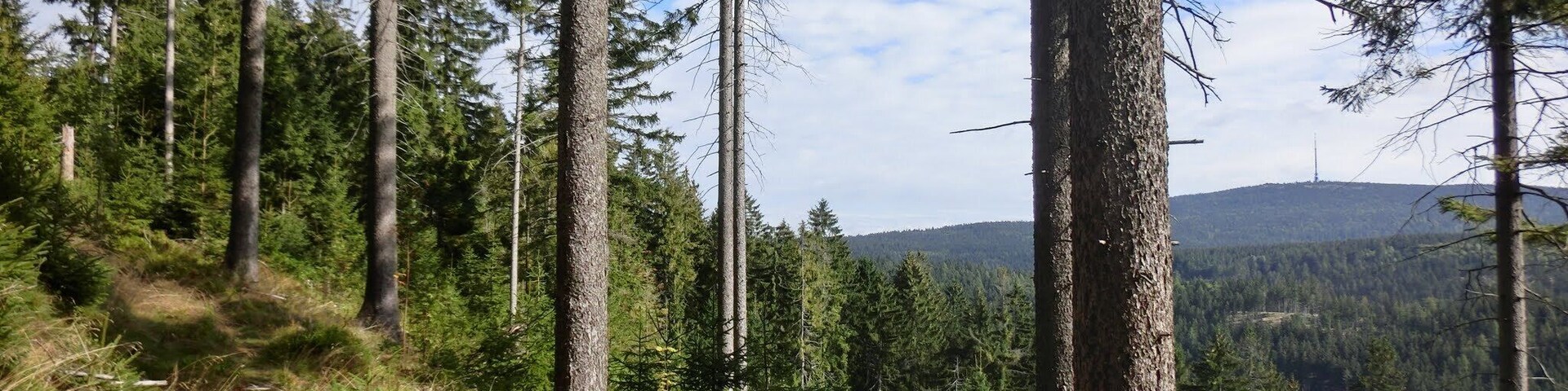 Jägersteig Warmensteinach