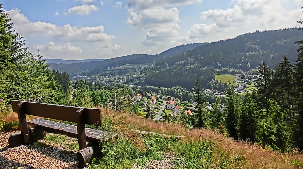 Warmensteinach (HDR)