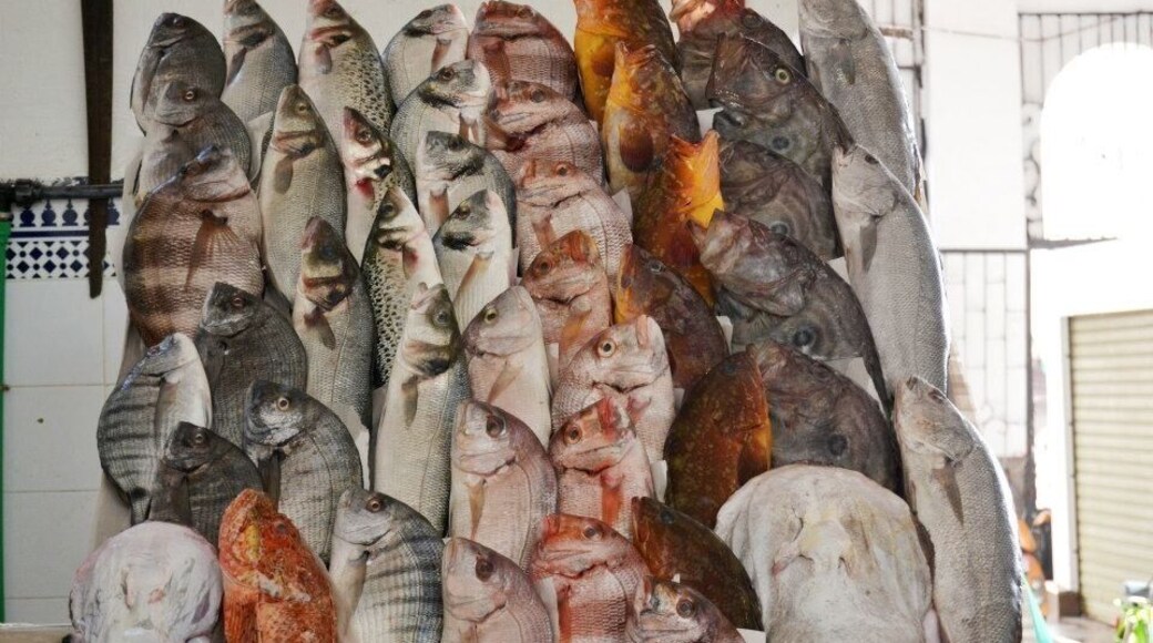 The colours of nature are everywhere. So, fishes and rainbow are in Morocco