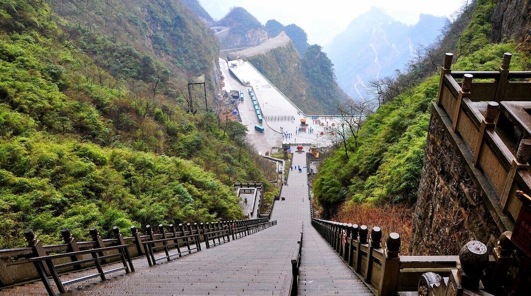 #Tianmen Mountain National Forest Park.
#天门山国家森林公园.
https://twitter.com/Beautifulgx