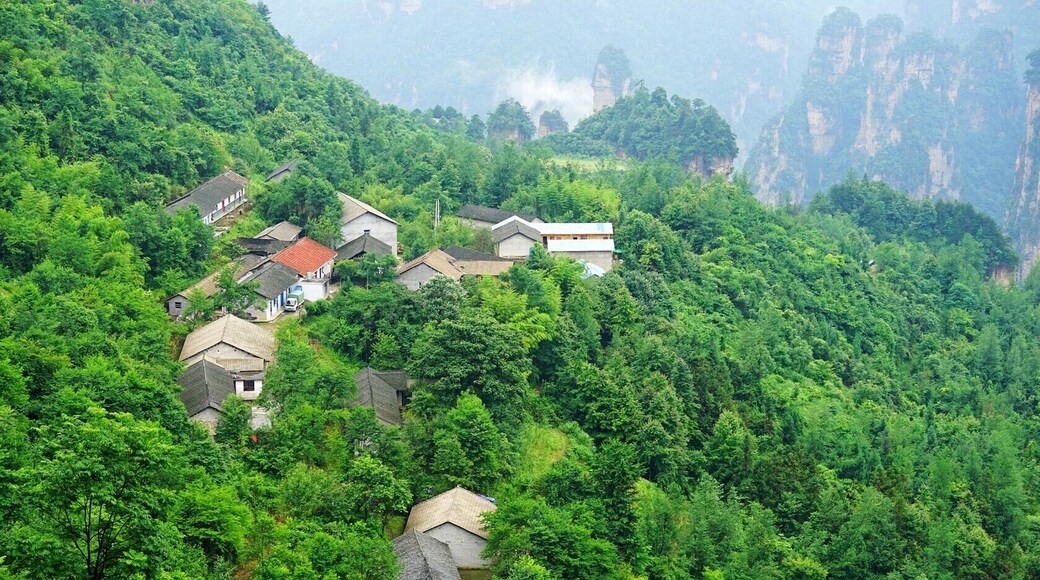 The Field in the Sky, #Zhangjiajie of China.
https://twitter.com/Beautifulgx