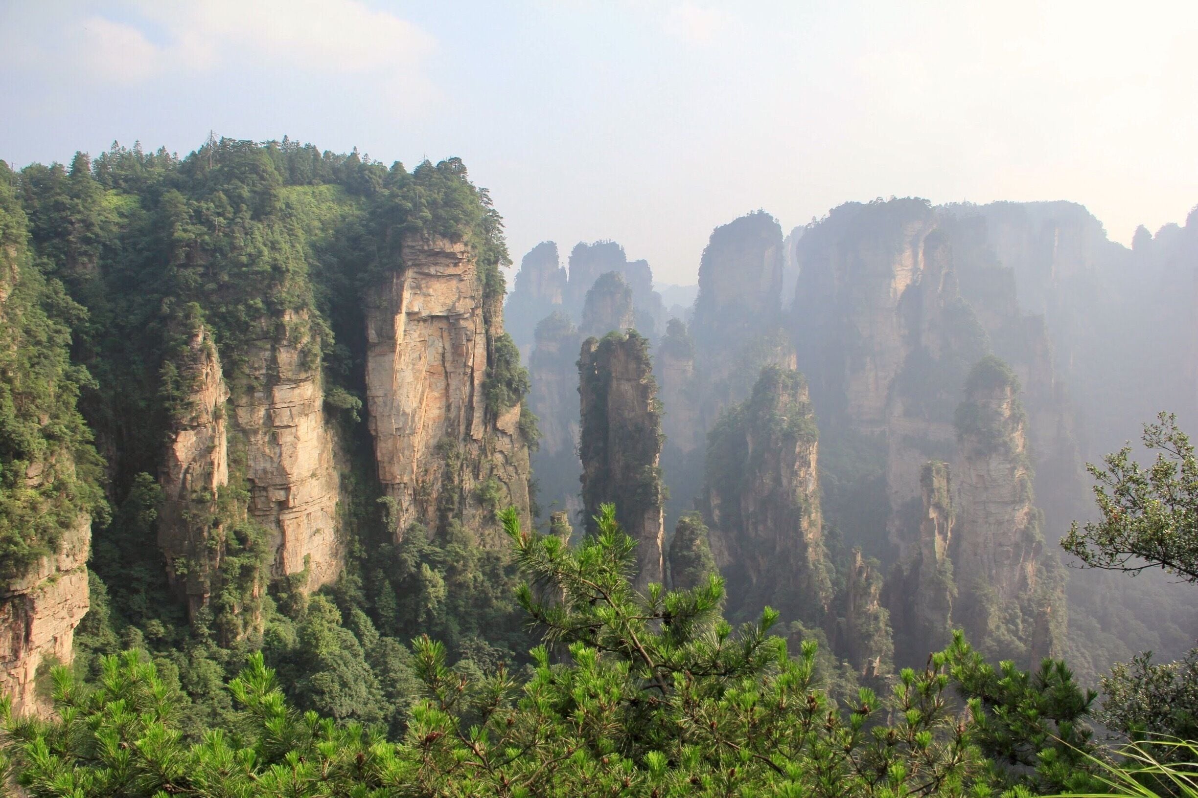 Golden Whip Brook, Zhiangjiajie, China 金鞭溪 (中国) #zhangjiajie #china #travel #landscape #hiking #trekking #nature #nationalpark

