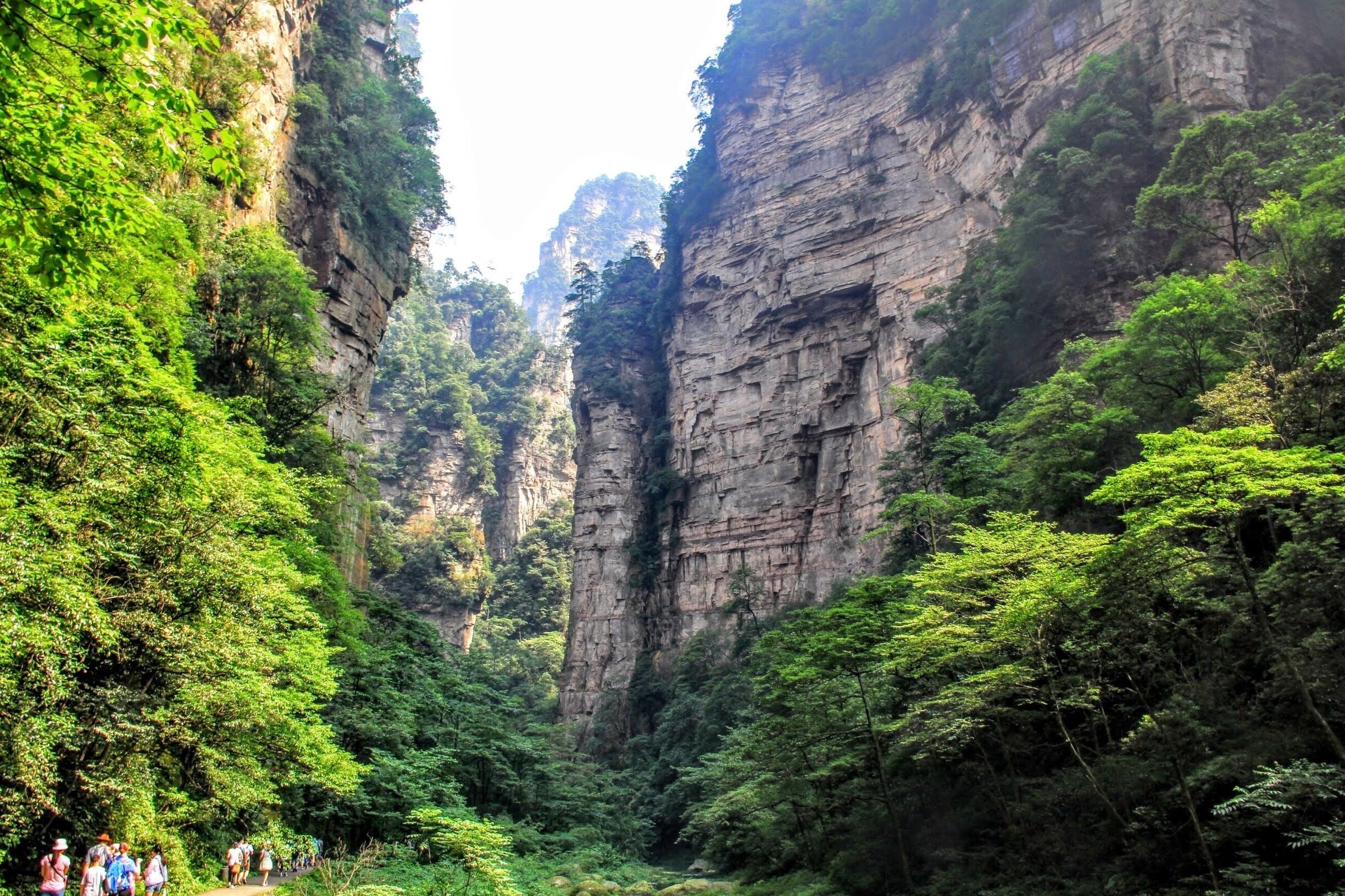 Golden Whip Brook, Zhiangjiajie, China 金鞭溪 (中国) - it took us 4 hours to trekked up to the mountains- #zhangjiajie # #china #travel #nature #landscapes 