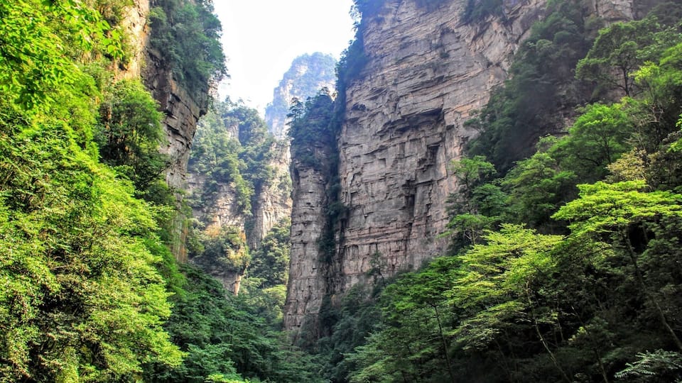 Golden Whip Brook, Zhiangjiajie, China 金鞭溪 (中国) - it took us 4 hours to trekked up to the mountains- #zhangjiajie # #china #travel #nature #landscapes