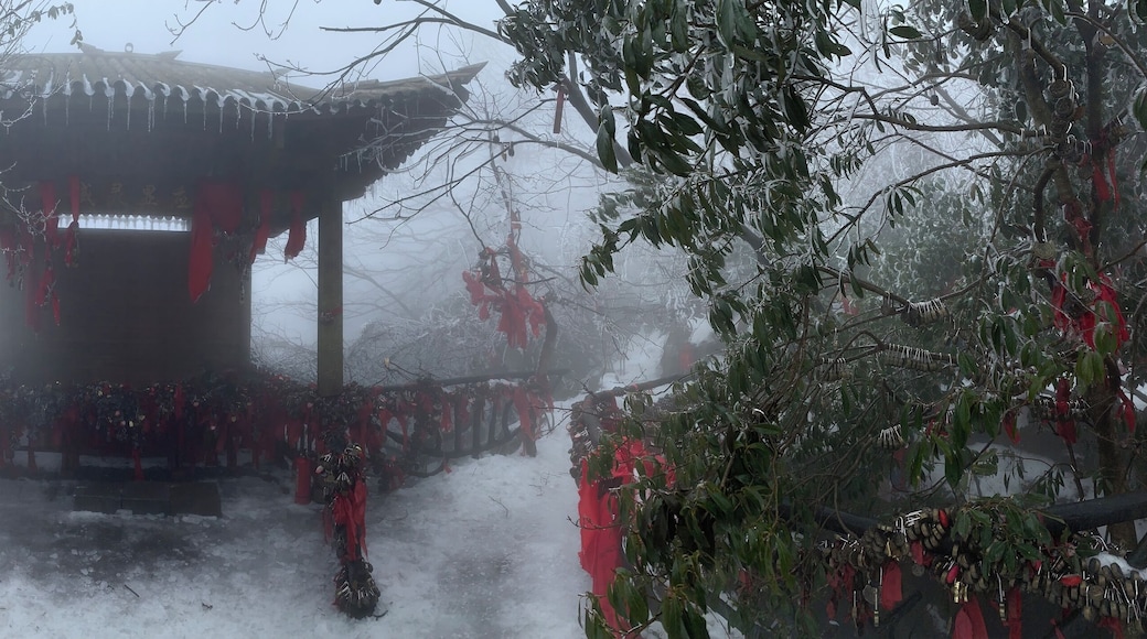 Just a few meters away from the regular tourist hiking path, you can find this small temple in the Tianmen Mountain National Park.
On the handrail, you can see hundreds of small padlocks with the names of couples.
The fog weather creates a magic atmosphere.
#LifeAtExpediaGroup