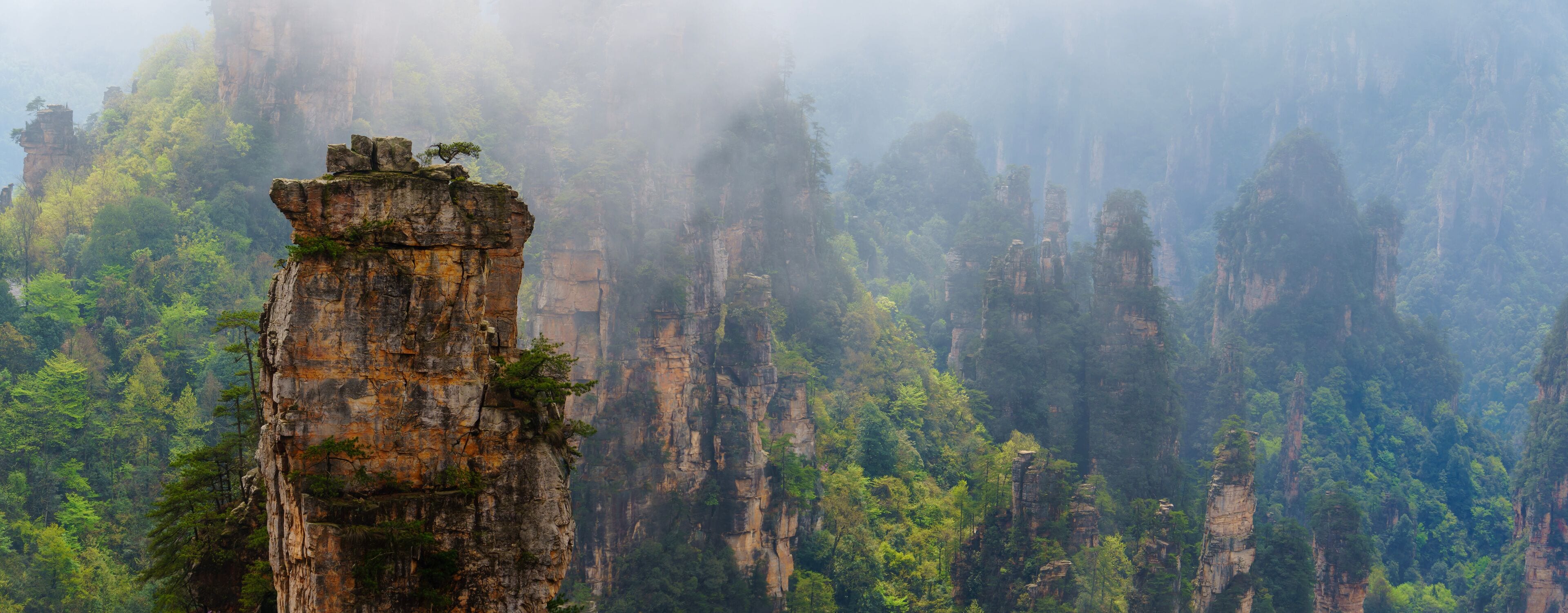 mountain landscape with fog. Towering mountain peaks atop hills in the Mount zhangjiajie surrounded by thick clouds and mist in the morning. xiangxi, Hunan, China. zhangjiajie national forest park.	