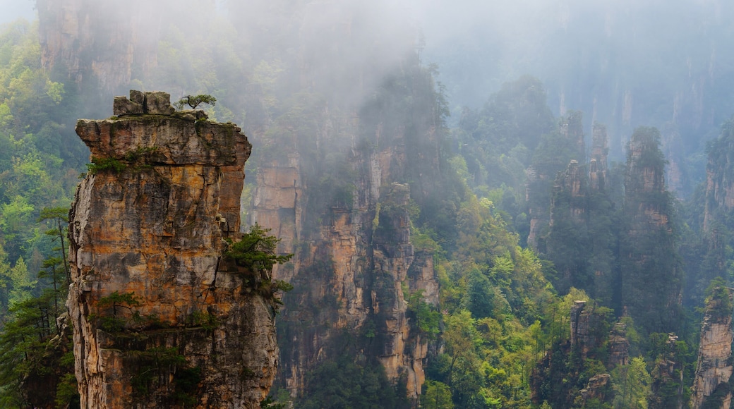 mountain landscape with fog. Towering mountain peaks atop hills in the Mount zhangjiajie surrounded by thick clouds and mist in the morning. xiangxi, Hunan, China. zhangjiajie national forest park.