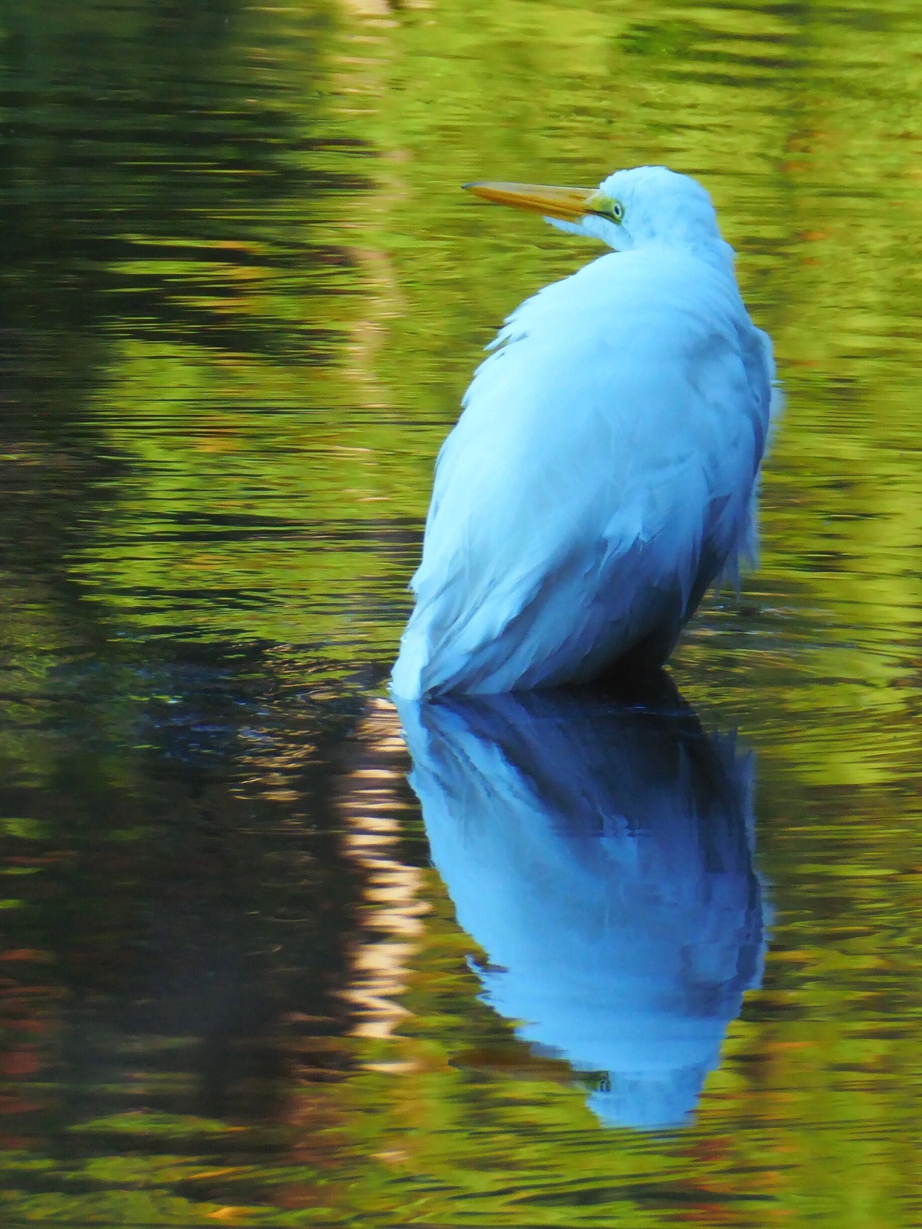 Calmly wait until.....!