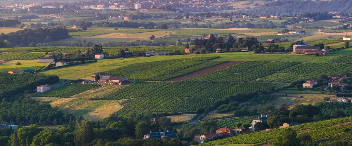 A rural landscape with fields, houses, and a distant town.