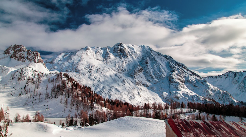 فالي أورينا