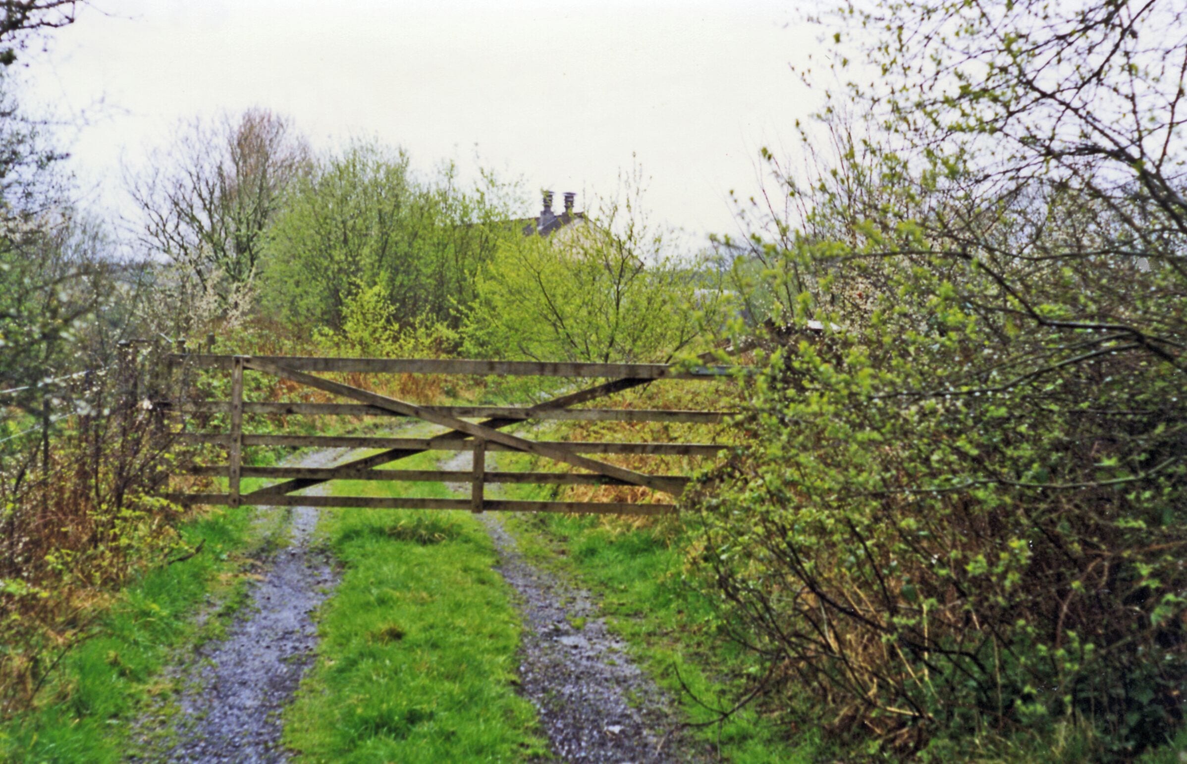 Site of Hole station. View westward, towards Halwill Junction: ex-SR Torrington - Halwill Junction (North Devon & Cornwall Junction Light Railway) branch. This line had a very short life, having been built only in July 1925 and was closed 1/3/65. Over the trees is the roof of the former goods shed (now part of a neighboring farm). Hidden behind the trees is the former station building. It was derelict for many years (part of the Hole Farm estate) until converted into a private home in the late 1990's.