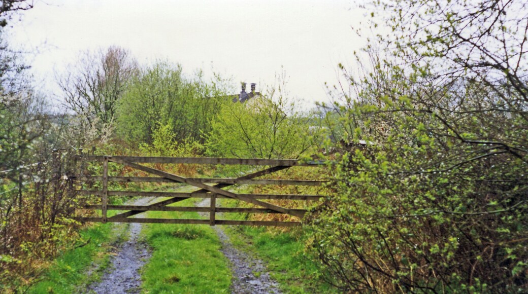 Site of Hole station. View westward, towards Halwill Junction: ex-SR Torrington - Halwill Junction (North Devon & Cornwall Junction Light Railway) branch. This line had a very short life, having been built only in July 1925 and was closed 1/3/65. Over the trees is the roof of the former goods shed (now part of a neighboring farm). Hidden behind the trees is the former station building. It was derelict for many years (part of the Hole Farm estate) until converted into a private home in the late 1990's.