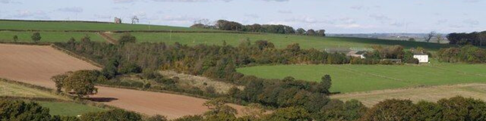 Netherton Farm. Looking across a valley from the lane between Hembury Gate and Petrockstowe. The valley drains down (to the right) to Bury Moors. On the horizon is 575249.