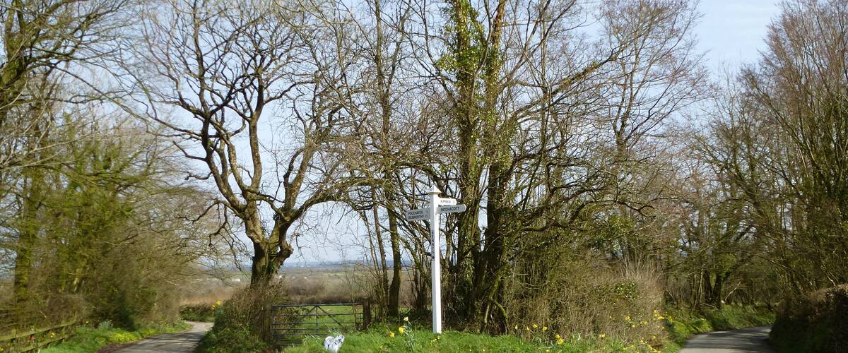 A rural road with a directional signpost surrounded by trees and vegetation.
