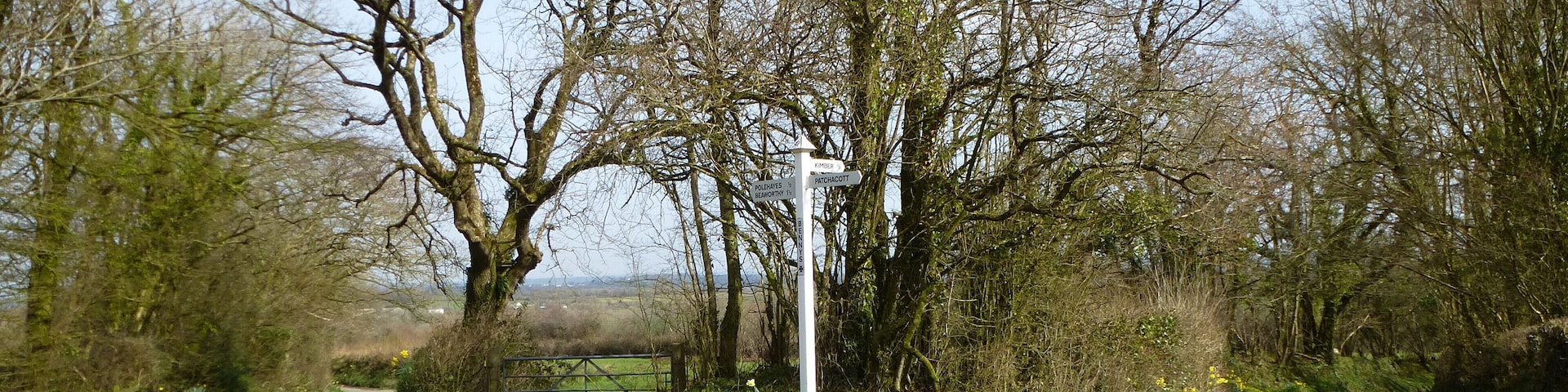 A rural road with a directional signpost surrounded by trees and vegetation.