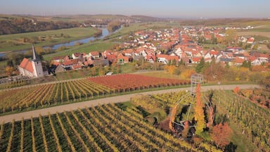 Größter Bocksbeutel der Welt, Stammheim am Main