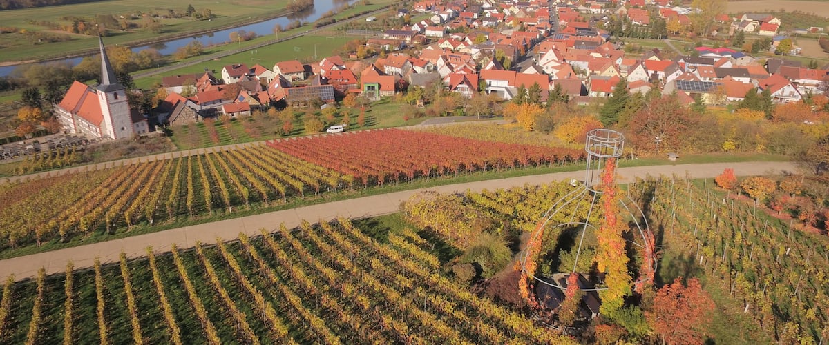 A town with red-roofed houses, a church, and vineyards.