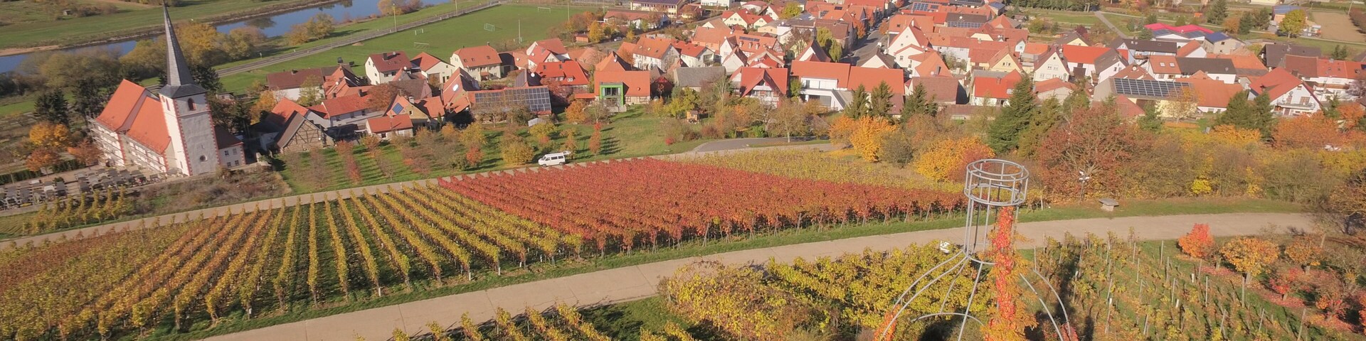 A town with red-roofed houses, a church, and vineyards.