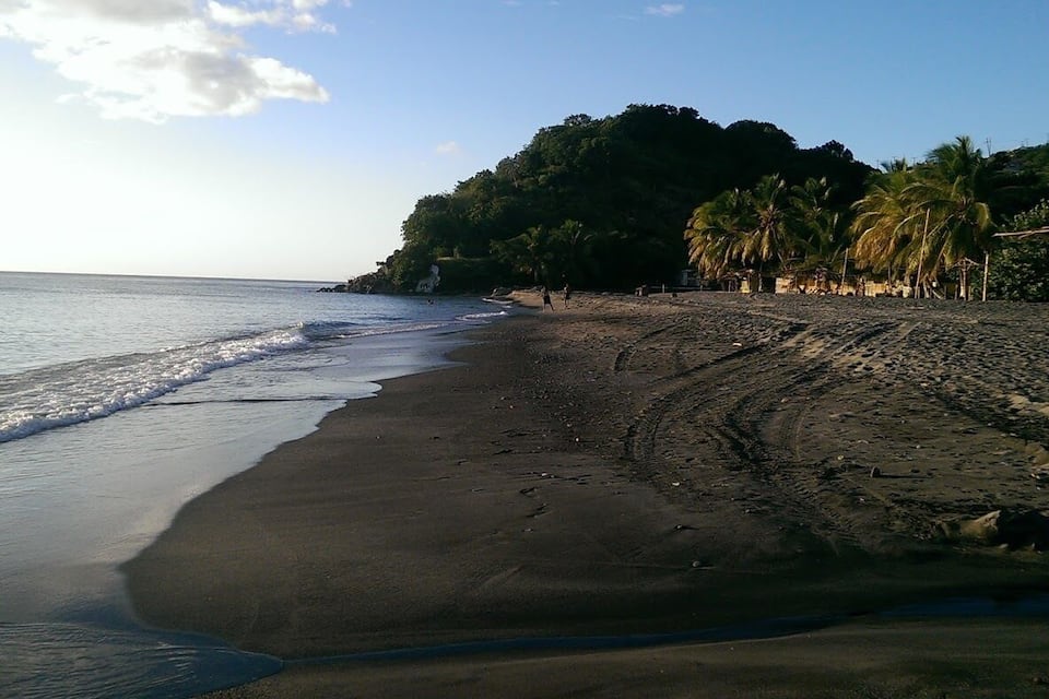 Una spiaggia con sabbia scura, onde calme e palme.