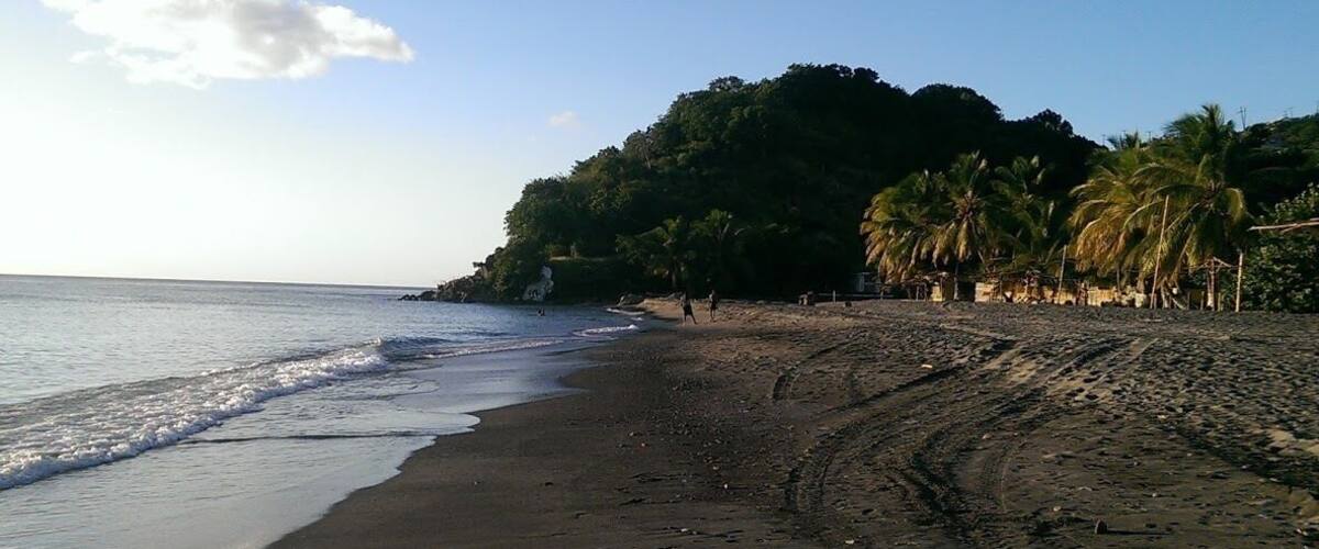 A beach with dark sand, gentle waves, and palm trees.