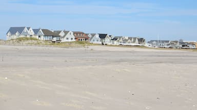 A beachfront with houses and dunes.