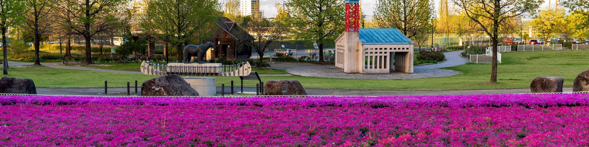 Flowers bloom in the Mississauga Park. Kariya City, Aichi, Japan.