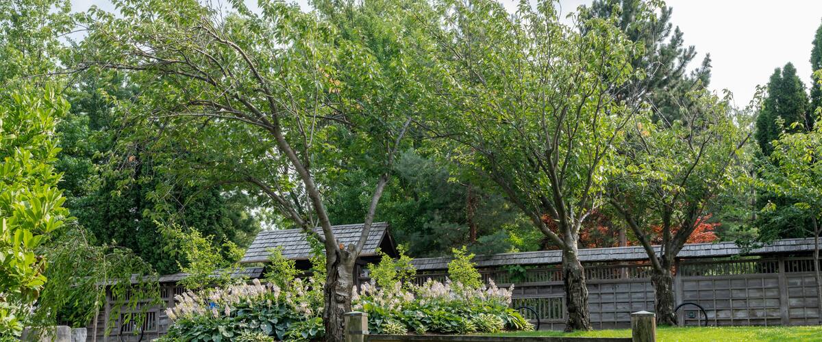 A wooden sign that reads "KARIYA PARK" surrounded by lush green trees and grass.