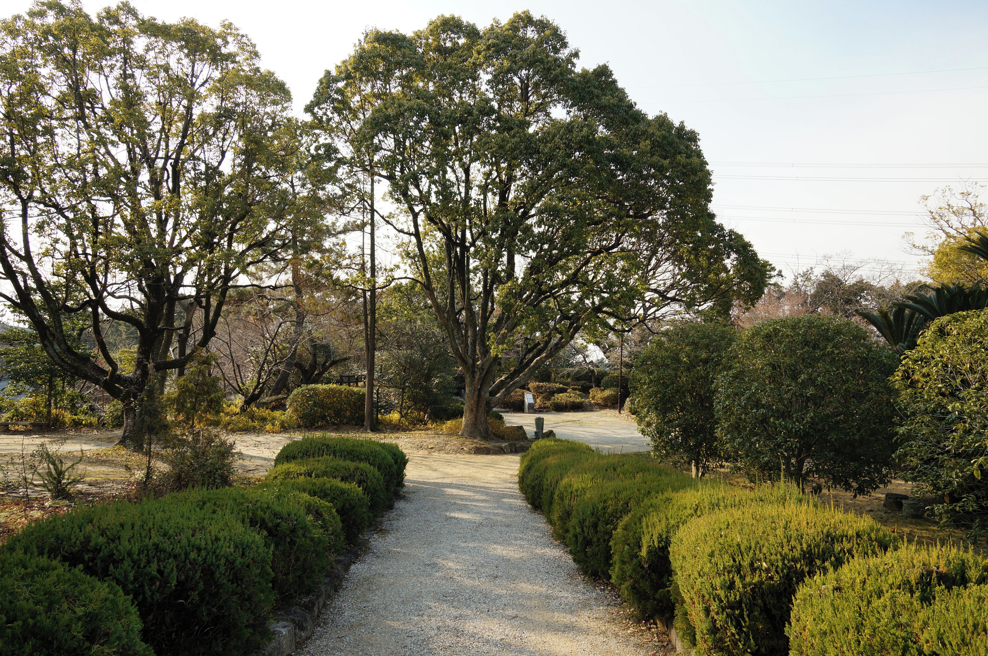 Kijo Park in Kariya, Aichi prefecture, Japan.