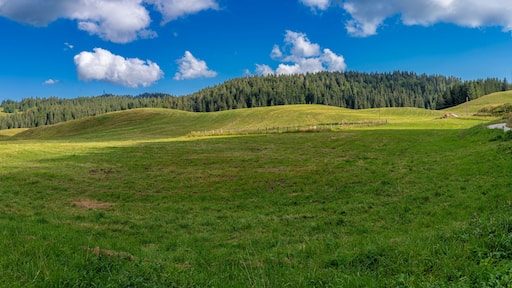Bellegarde-sur-Valserine, France - 09 01 2021: View of the Valserine Valley with its hills, meadows and forests around.