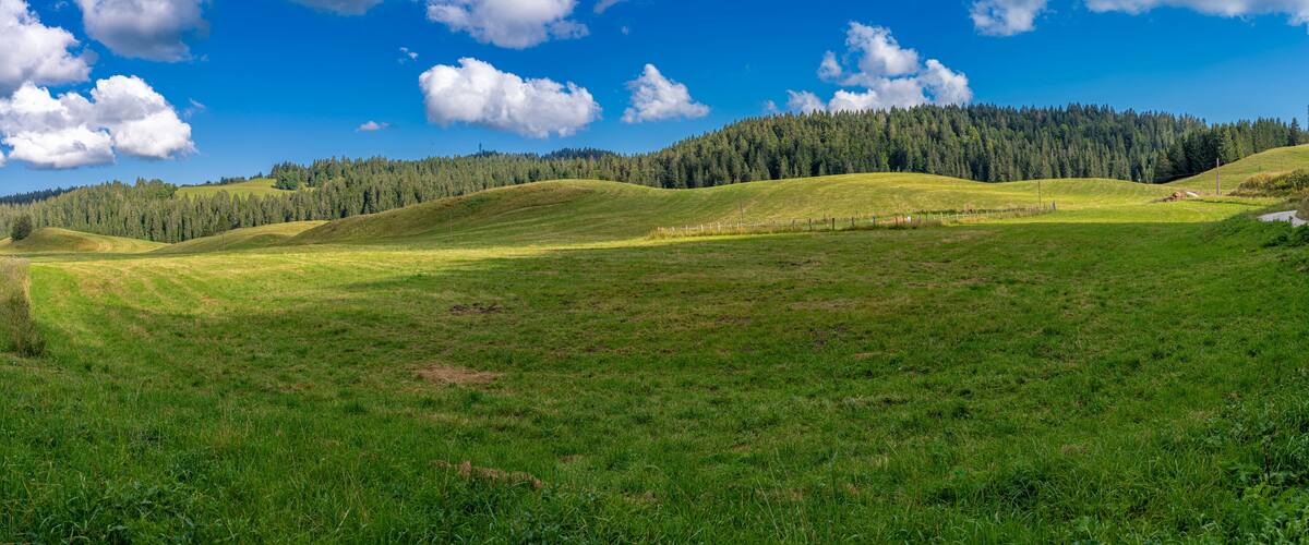 A green field with rolling hills and a forested mountain in the background.