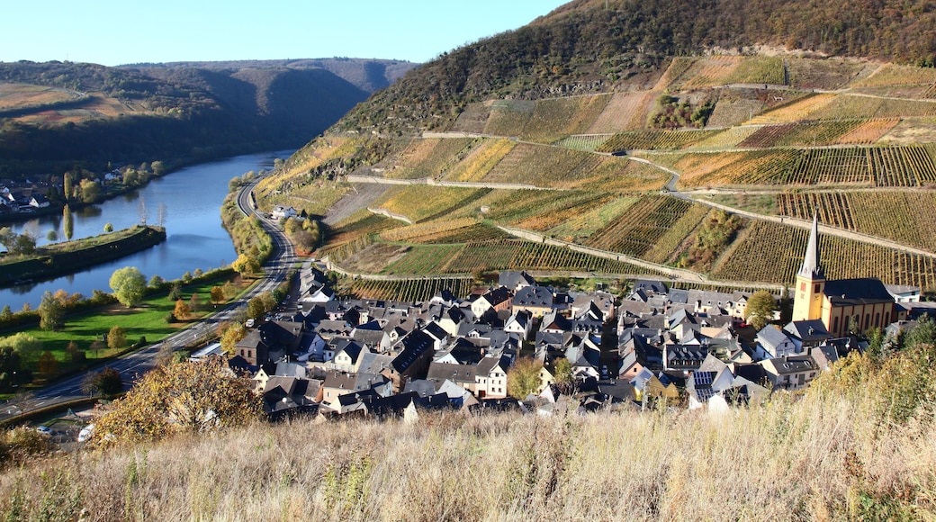 Senheim an der Mosel