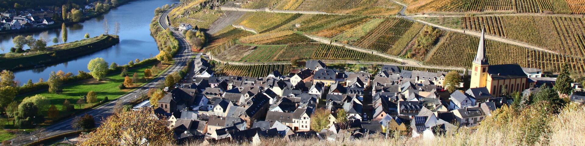 Senheim an der Mosel