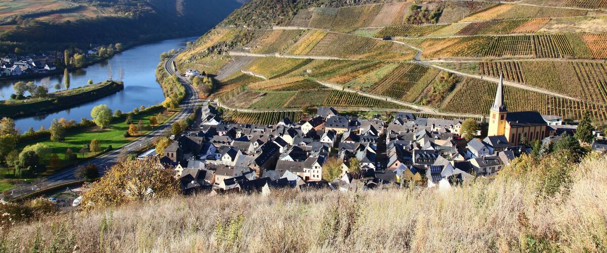 A town nestled in a valley with vineyards and a river.