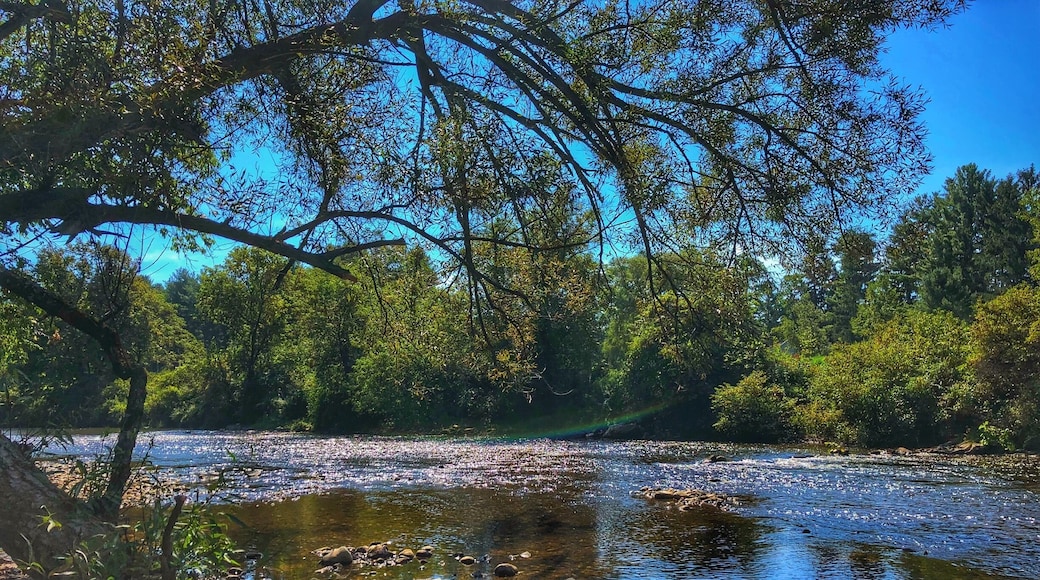 While enjoying the history and beauty of the Henry covered bridge of you turn around you see the beauty of the Walloomsac River. Beautiful view on a hot summer day in Bennington, VT.