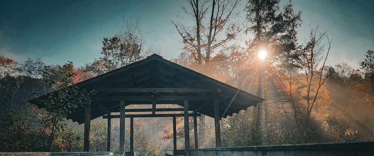 A wooden gazebo with a roof, surrounded by trees and a wooden walkway.