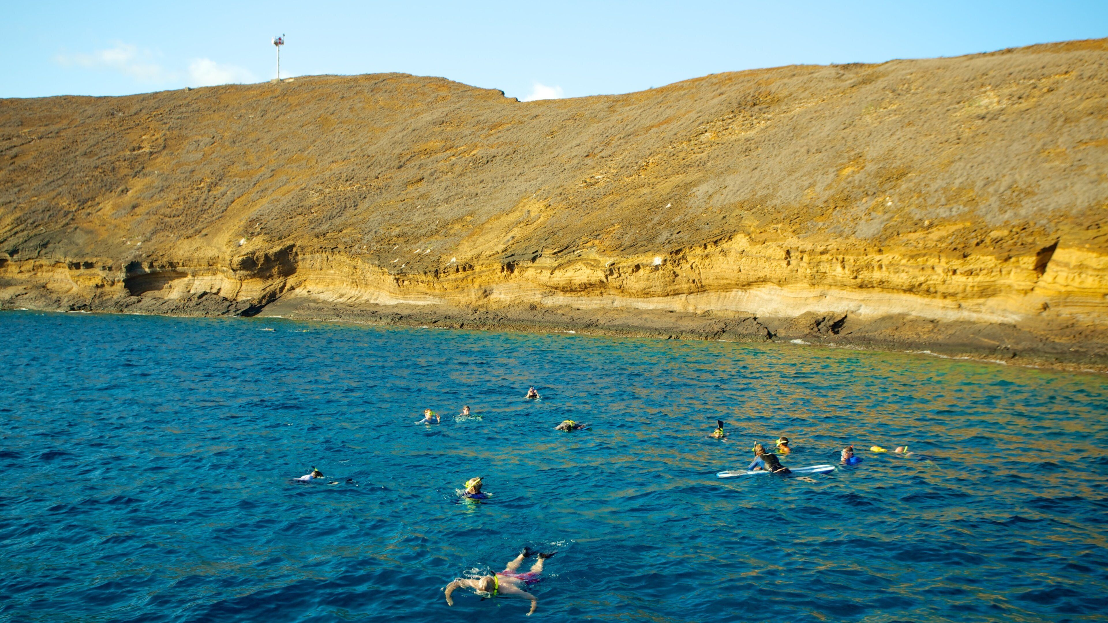 Molokini qui includes côte rocheuse, panoramas et baignade