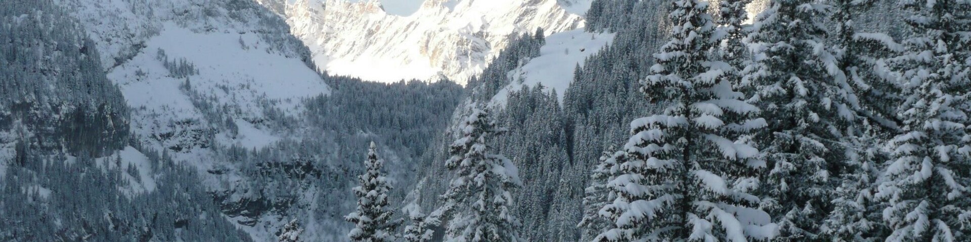 Una cadena montañosa cubierta de nieve y densos bosques.