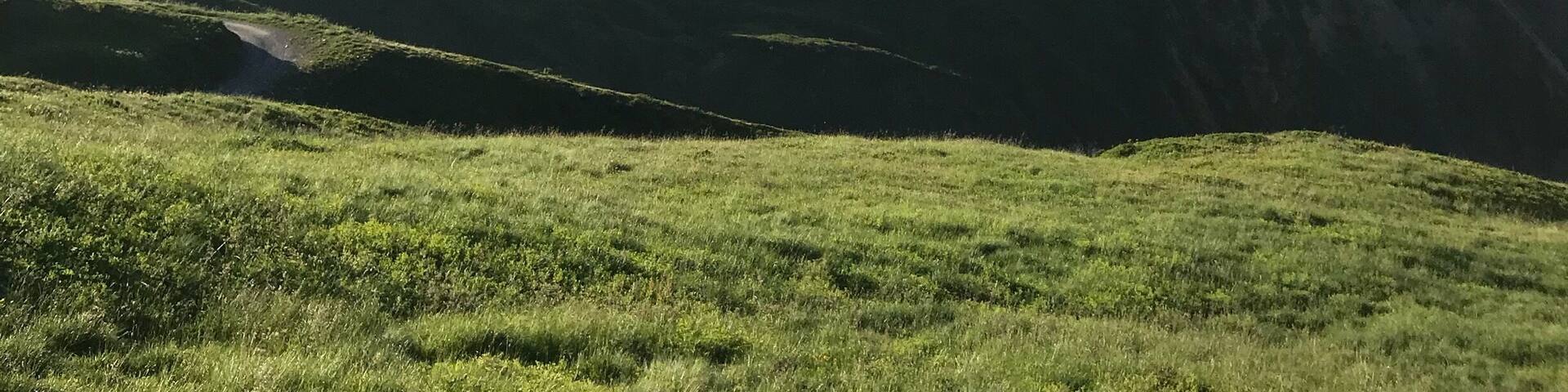 Incredible view on the #MontBlanc from the #coldanterne