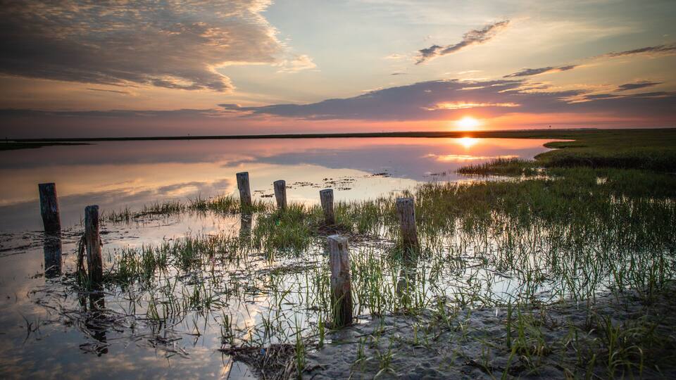 A sunset over a calm water body with grassy banks and wooden posts.