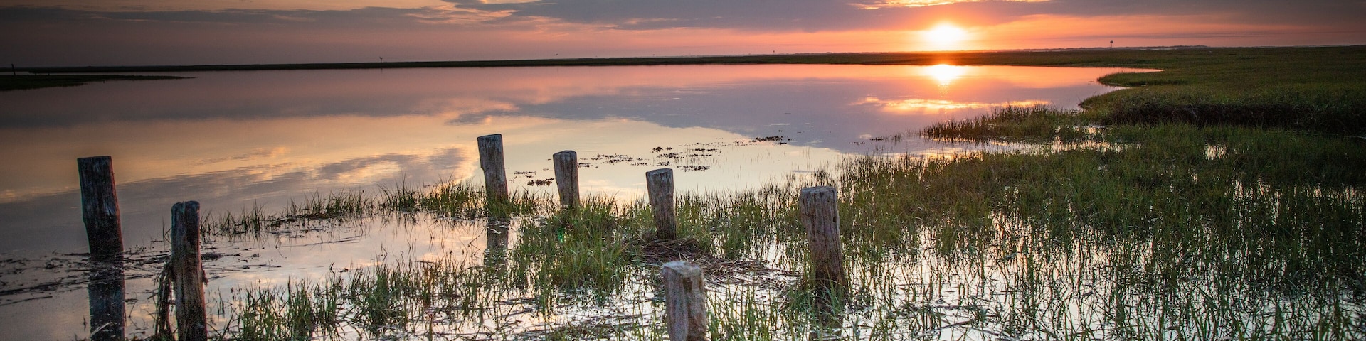 Morning breaks over the wetlands