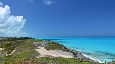 Salt pond. Exuma, Bahamas